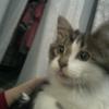 Jasper - @jasper.x.porter - TikTok