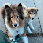 Jasper & Rudy - @jasper_powell - Instagram