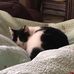 Jasper Powell - Facebook