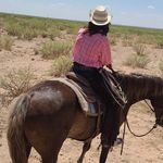 Jasper Powell - @cowpoke_jasper - Instagram