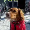 Jasper_powelll - @jasperpowelll - TikTok