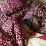 @jasperpowell2015 - Instagram