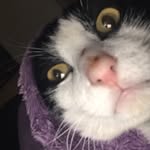 Jasper - @jasper_preston - Instagram
