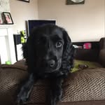 @jasper_preston18 - Instagram