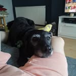 Jasper Preston - @jpres.ton2 - Instagram