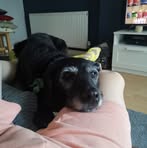 Jasper Preston - Facebook
