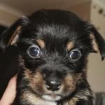 Jasper Preston - @jasperp2021 - Instagram