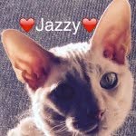 Jasper Rogers - @jasper123_ - Instagram