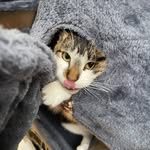 Jasper Rogers - @nap_needed - Instagram