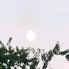 a lost soul - @123jasperross123 - TikTok
