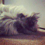 Jasper Rushworth - @jasper_rushworth - Instagram