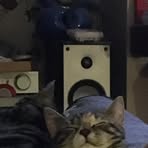 Jasper Ryan - Facebook