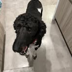 Jasper Ryan - Facebook