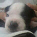 Jasper - @jasper_sanders_ - Instagram