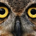 Jasper Sanders - @sandersjasper - Instagram
