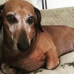 Jasper - @jasper_thesavage - Instagram