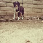 Jasper_Savage - @jasper_savage - Instagram