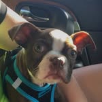 Jasper Savage - @savage_jasper - Instagram