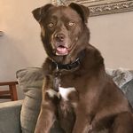 @jaspersavagejordan - Instagram