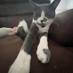 Jasper Sharp - Facebook