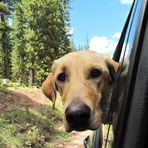Jasper Shaw - Facebook