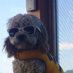 Jasper Stevenson - @jasper_stevenson5 - Instagram