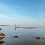 Jasper - @jasper_taylor__ - Instagram