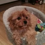 jasper taylor - @arion9216 - Instagram