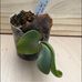 Jasper Tsai - Facebook
