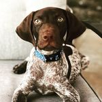 @jasper.tucker.rose - Instagram