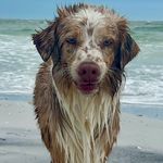 Jasper Oscar Tucker Lowe - @jasperthegryphon - Instagram
