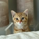 Tucker Jasper - @tiktoktuckerjasper - Instagram
