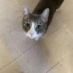 Jasper Vargas - Facebook