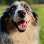 Jasper - @jasper_wagner_13 - Instagram