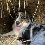 Jasper Wagner - Facebook