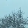 jasper__walker - @jasper__walker - TikTok