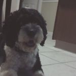 jasper  walker - @jasper_walker134 - Instagram
