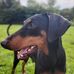Jasper Walker - Facebook