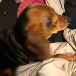 Jasper Walker - @jasper.walker.96930 - Instagram