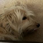 Jasper Ward - @jasperward3 - Instagram