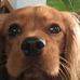 Jasper Willis - Facebook