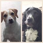 Jasper & Wilson - @jasper__wilson - Instagram