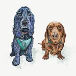 Jasper, Ginny & Wilson - @jasper_ginny_willys_adventures - Instagram
