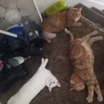 Jasper Wilson - @jasper.wilson.7798 - Instagram