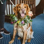 Jasper Wilson - @jaspers_jolly_adventures - Instagram