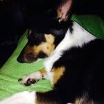 Jasper Alexander Wright - @jasperwright - Instagram