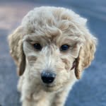 Jasper “jazzy” Wright - @jaspersdoodlelife - Instagram