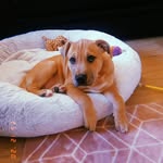 Jasper Wright - @jasper_11020 - Instagram