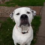 Jasper Wright - @jasper.wright1 - Instagram