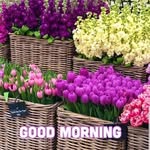 Jasvir_Parmar - @jasvir_parmar1234 - Instagram